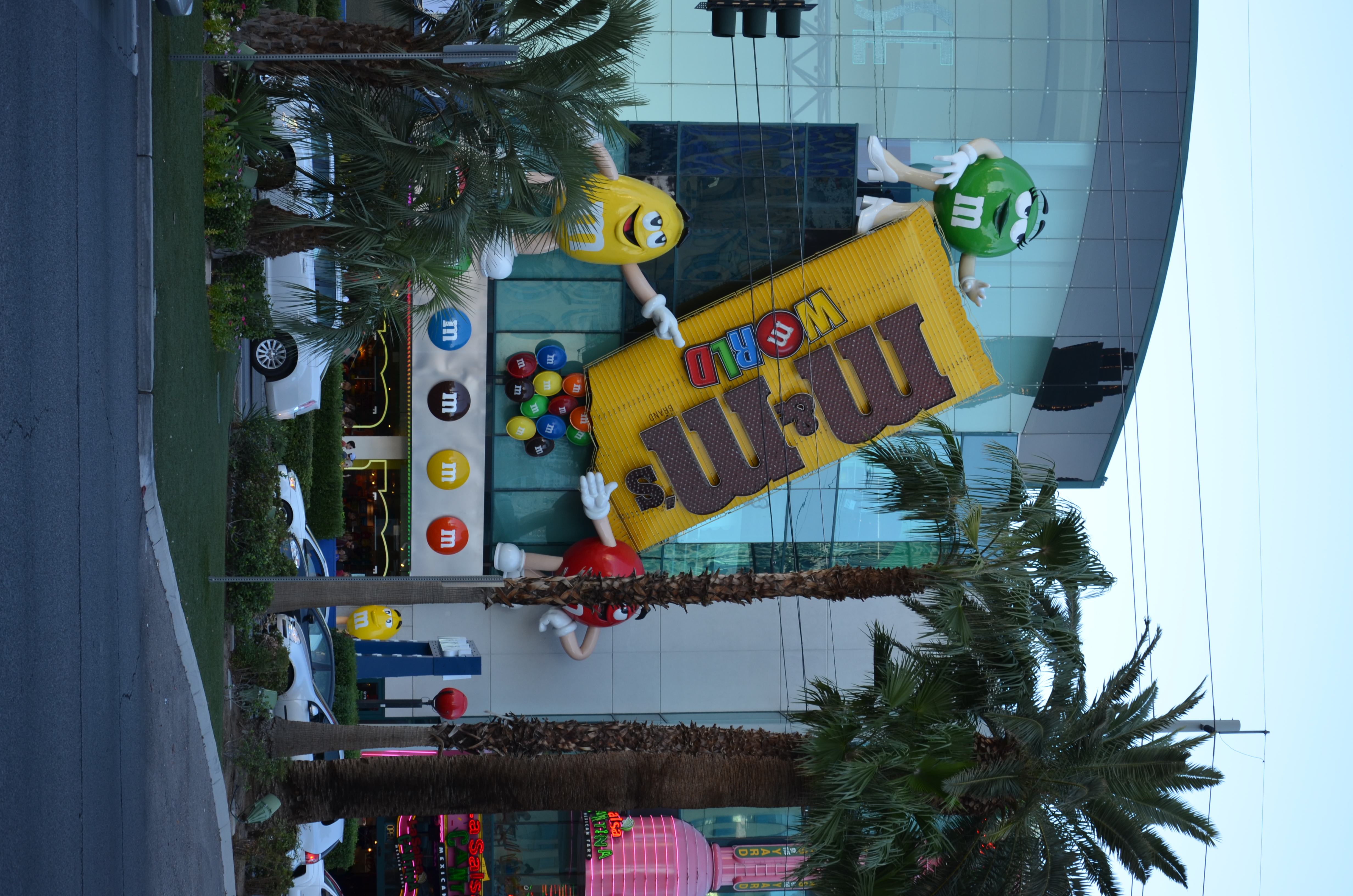 DSC_4588